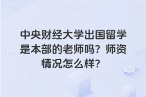 中央财经大学出国留学是本部的老师吗？师资情况怎么样？