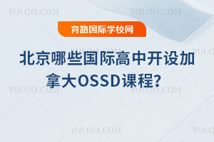 2025걱ЩʸпôOSSDγ̣