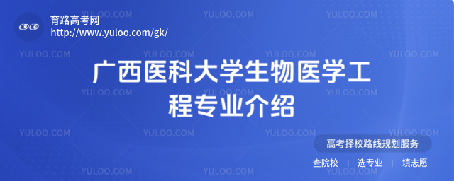 广西医科大学生物医学工程专业介绍