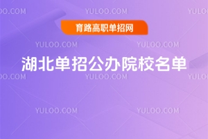 湖北单招公办院校名单