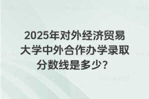 2025年对外经济贸易大学中外合作办学录取分数线是多少？