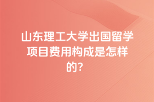 山东理工大学出国留学项目费用构成是怎样的？