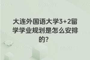 大连外国语大学3+2留学学业规划是怎么安排的？