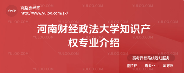 ���ϲƾ�������ѧ֪ʶ��Ȩרҵ����