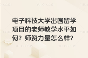 电子科技大学出国留学项目的老师教学水平如何？师资力量怎么样？