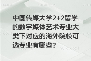 中国传媒大学2+2留学的数字媒体艺术专业大类下对应的海外院校可选专业有哪些？