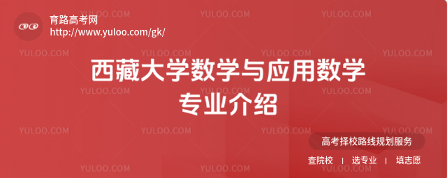 西藏大学数学与应用数学专业介绍