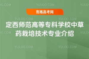 ʦߵרѧУвҩ༼רҵ