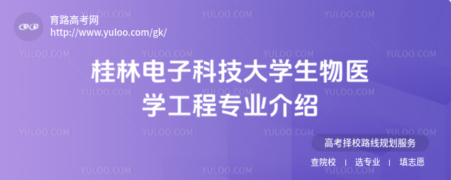 桂林电子科技大学生物医学工程专业介绍