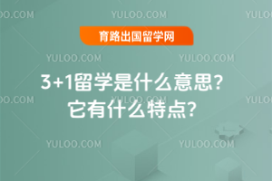 3+1ѧʲô˼ʲôص㣿