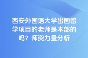 西安外国语大学出国留学项目的老师是本部的吗？师资力量分析