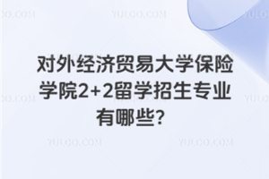 对外经济贸易大学保险学院2+2留学招生专业有哪些？