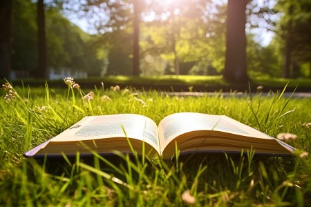 燕郊私立初中排名及收费标准一览