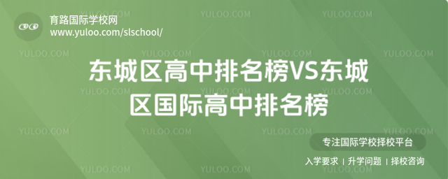 VSʸ