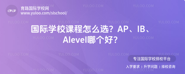 ѧУγôѡAPIBAlevelĸ