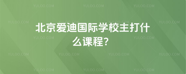 北京爱迪国际学校主打什么课程