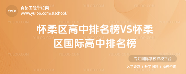 VSʸ