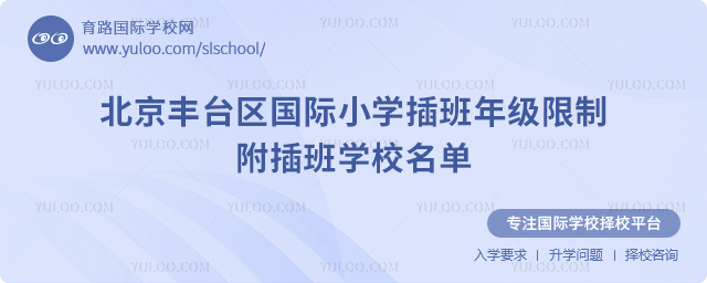 2025-2026第一学期北京丰台区国际小学插班年级限制