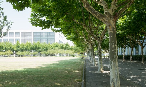 山東旅游職業學院
