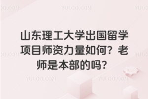 山东理工大学出国留学项目师资力量如何？老师是本部的吗？