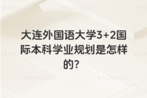 大连外国语大学3+2国际本科学业规划是怎样的？