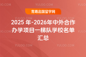 2025年-2026年中外合作办学项目一梯队学校名单汇总