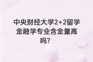 中央财经大学2+2留学金融学专业含金量高吗？