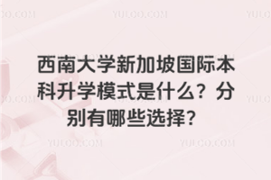 西南大学新加坡国际本科升学模式是什么？分别有哪些选择？