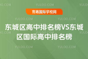 2025궫VSʸ