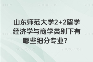 山东师范大学2+2留学经济学与商学类别下有哪些细分专业？