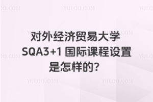 对外经济贸易大学SQA3+1国际课程设置是怎样的？