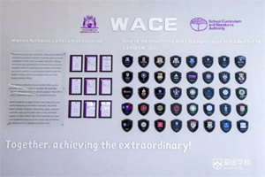 WACEإһأѧն¼¶У21Offer!