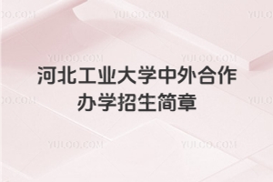河北工业大学中外合作办学招生简章
