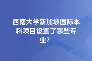 西南大学新加坡国际本科项目设置了哪些专业？