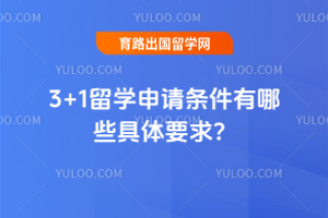 3+1ѧЩҪ
