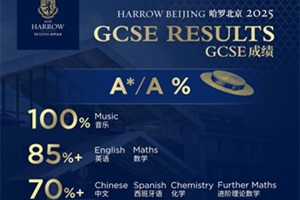 A*Aޱ2025GCSEٴѼ