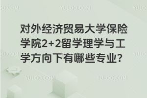 对外经济贸易大学保险学院2+2留学理学与工学方向下有哪些专业？