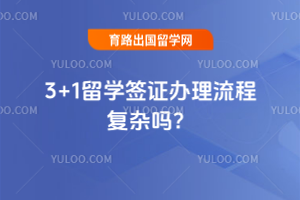 3+1ѧǩ̸֤