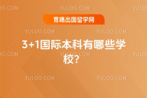 3+1ʱЩѧУ