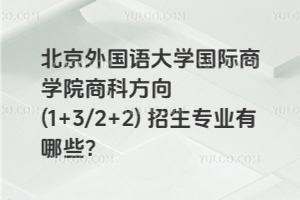 北京外国语大学国际商学院商科方向 (1+3/2+2) 招生专业有哪些？