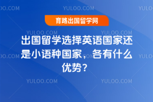 ѧѡӢһСֹңʲôƣ