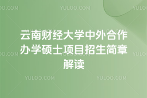 云南财经大学中外合作办学硕士项目招生简章解读:无需入学考试,申请难度低!