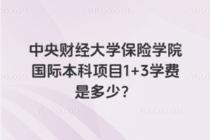 中央财经大学保险学院国际本科项目1+3学费是多少？