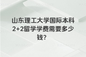 山东理工大学国际本科2+2留学学费需要多少钱？