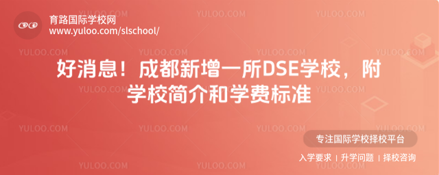 ϢɶһDSEѧУѧУѧѱ׼