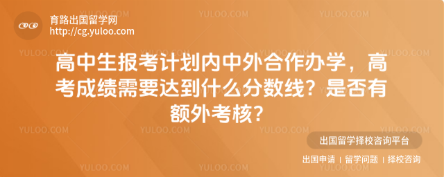 报考计划内中外合作办学