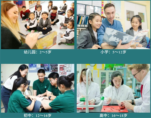 青苗学校招生简章