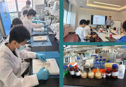 青苗学校招生简章