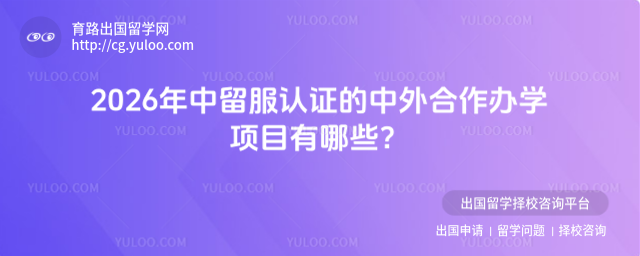 中留服认证中外合作办学