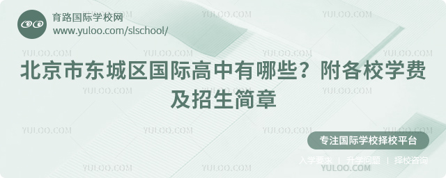 2026年北京市东城区国际高中有哪些